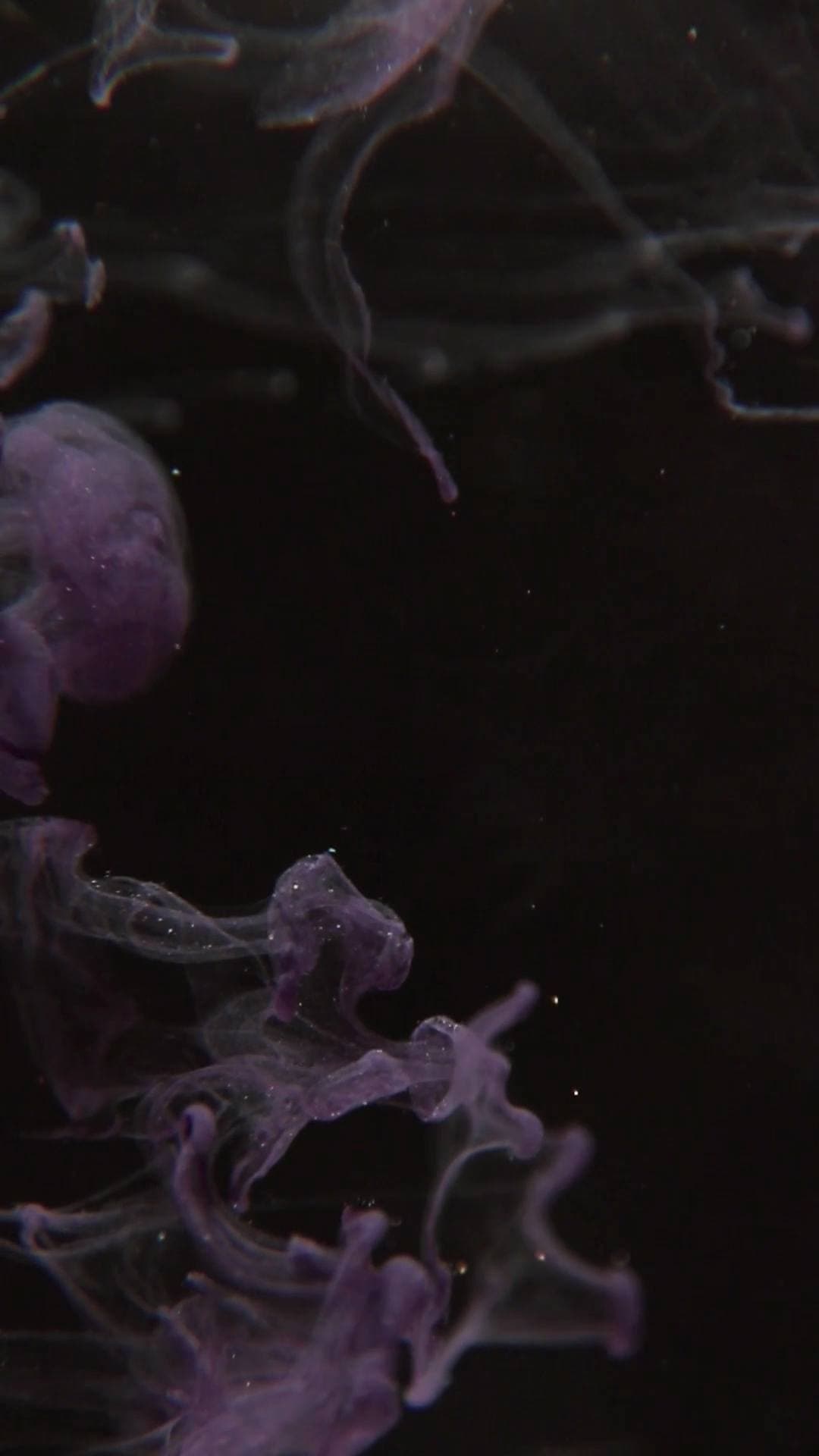 Tinta violeta flutuando em água escura